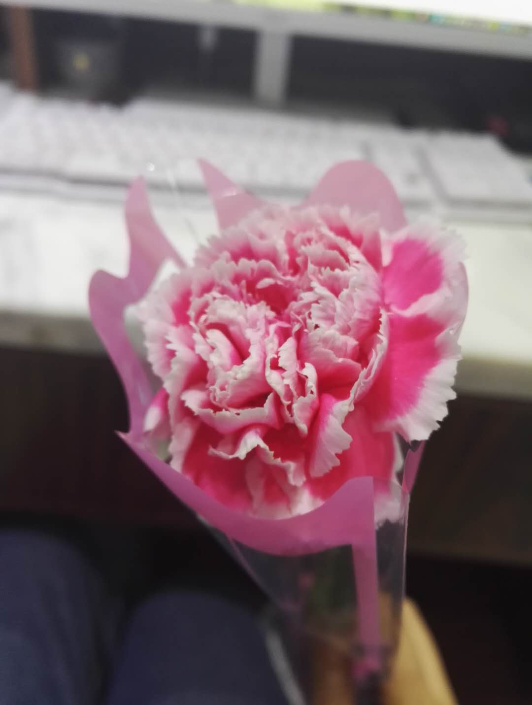 262342699377517721.jpg 262342699377517721.jpg