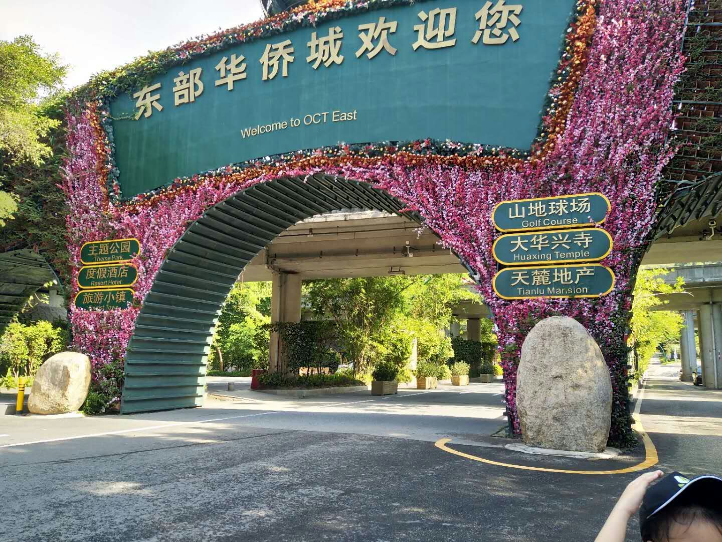 恒盈海绵 恒盈海绵