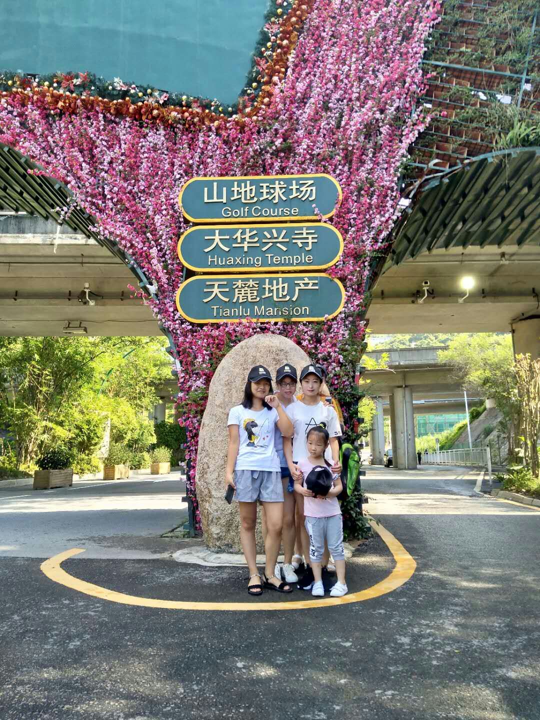 恒盈海绵 恒盈海绵