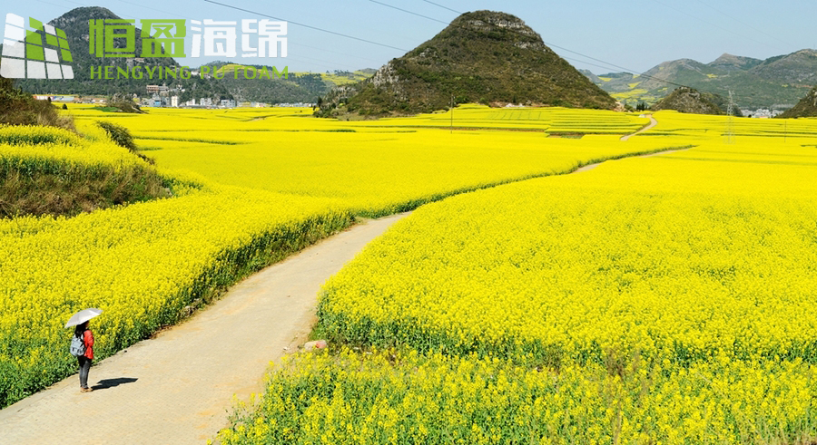 3481938_1425455392897_mthumb.jpg 3481938_1425455392897_mthumb.jpg